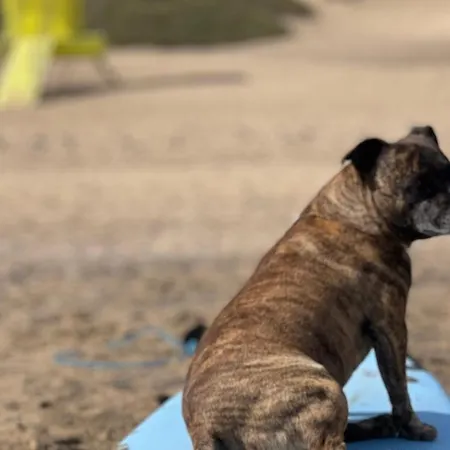 Casa Atom A Pochi Passi Dall'oceano * Corralejo